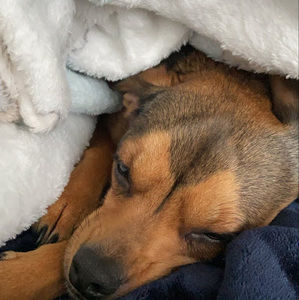 Meet your Posher, Macie